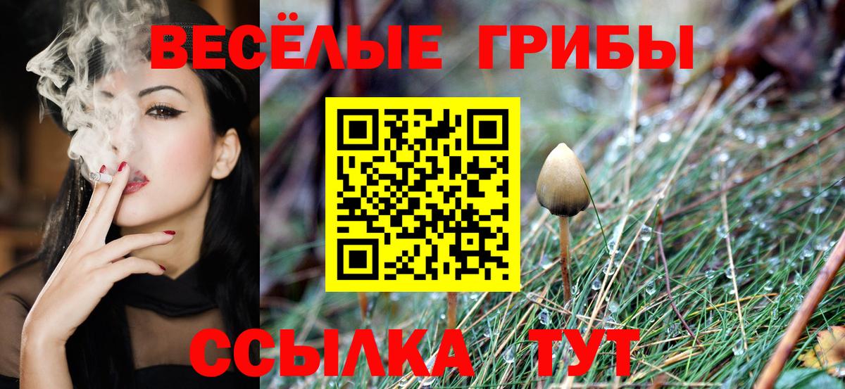 Галлюциногенные грибы Cubensis Красноармейск